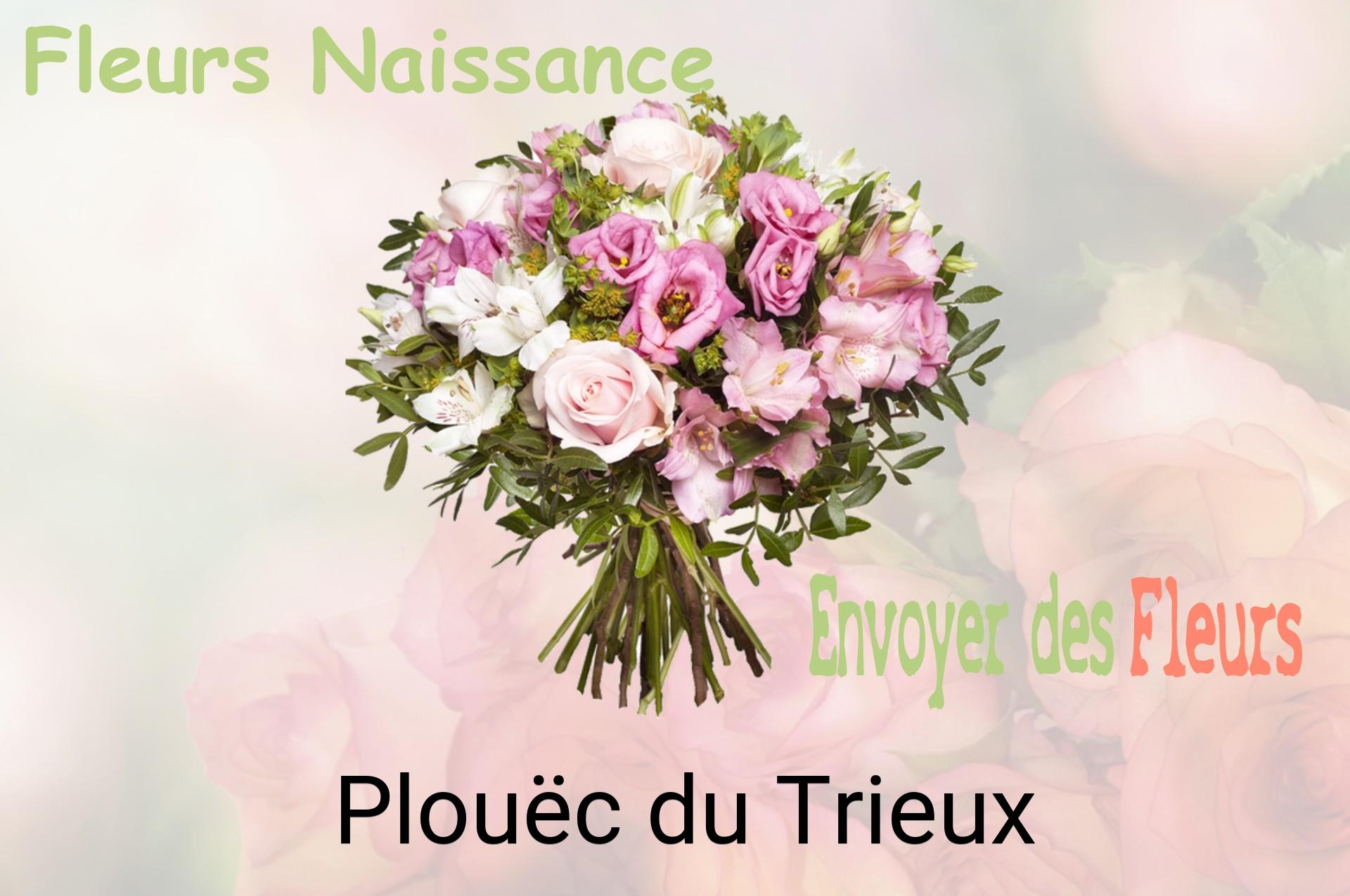 Bouquet de fleurs de naissance livré à Plouëc-du-Trieux