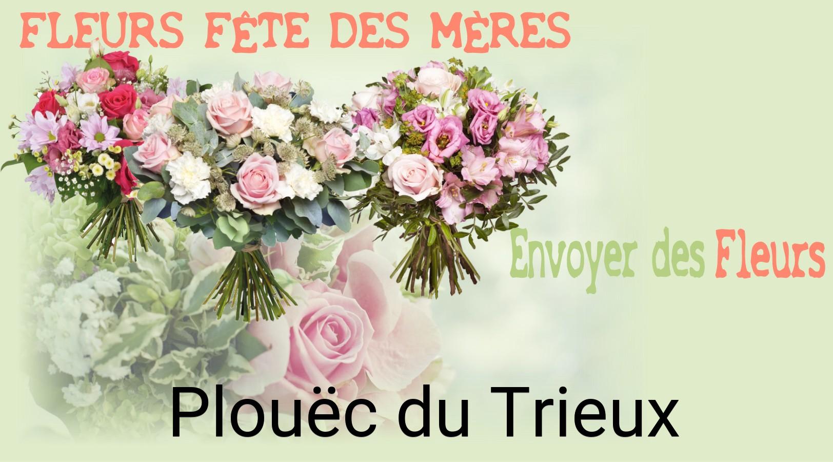 Bouquet de Fête des Mères livré à Plouëc-du-Trieux